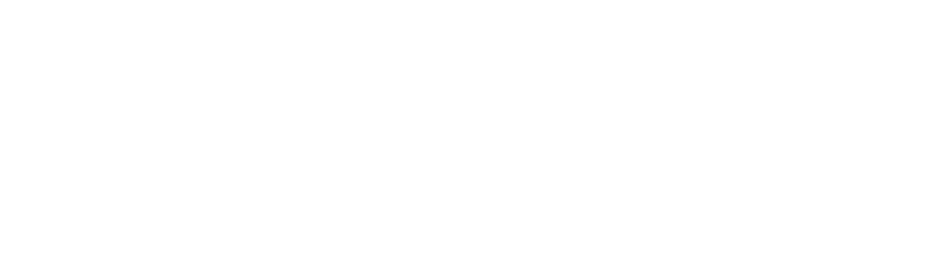 Bonn Consulting Group GmbH